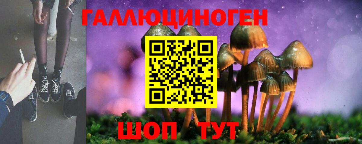 Псилоцибиновые грибы мухоморы  Вход с VPN  Благовещенск 